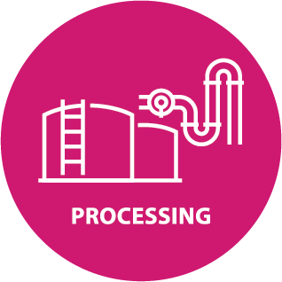 02 Processing 02 Processing