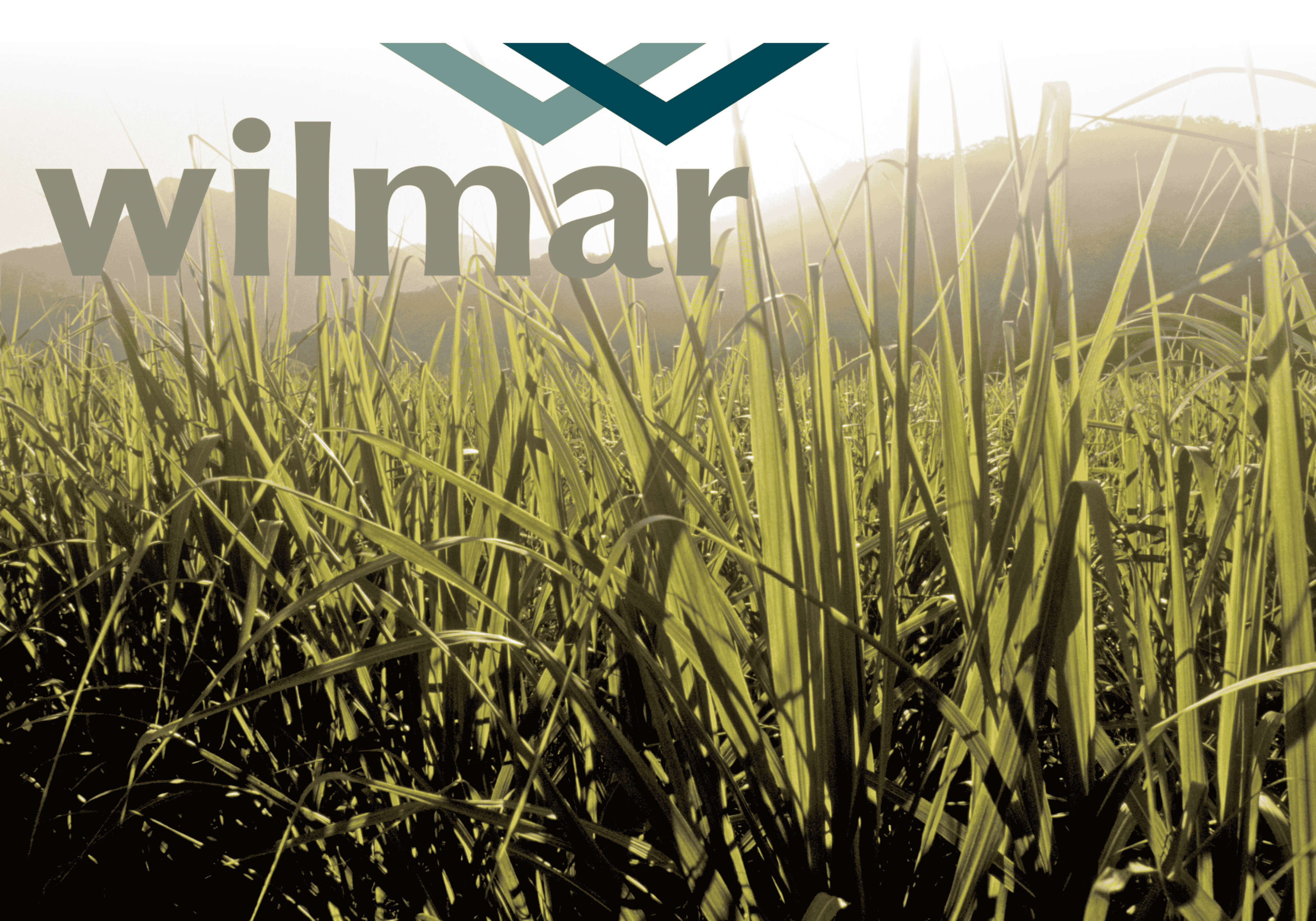 Sustainability | NZ Sugar